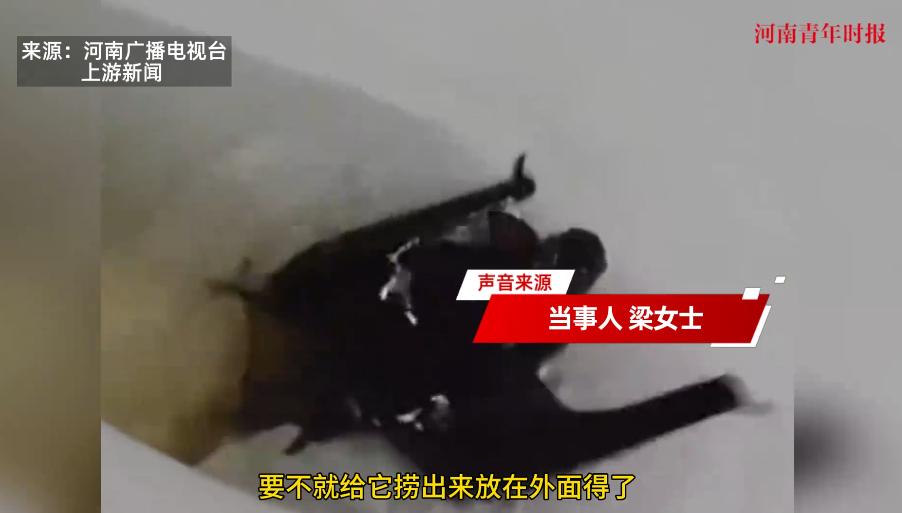“防不胜防！”2025年8月，河南信阳，一女子回家上厕所时，看见蝙蝠掉进厕所水坑
