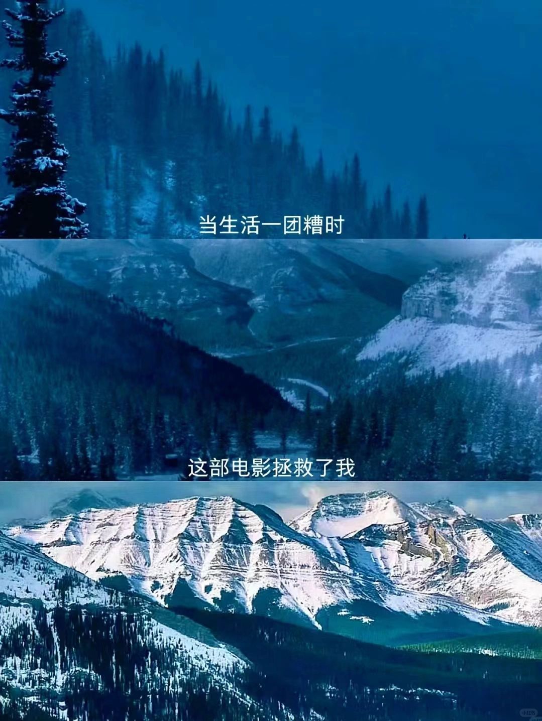 ❗巨治愈😭值得一个人n刷的人生电影‼️