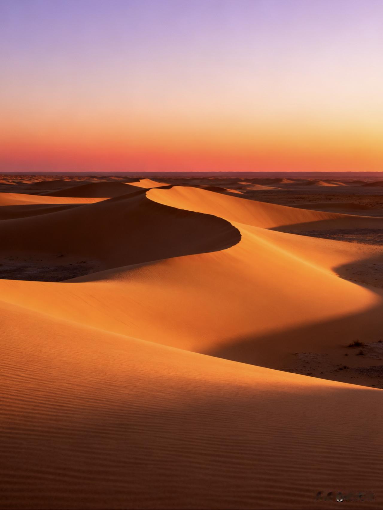 刷到这篇帖子的男人们，
我来测试一下你的认知水平：


1、如果实行一夫多妻制，