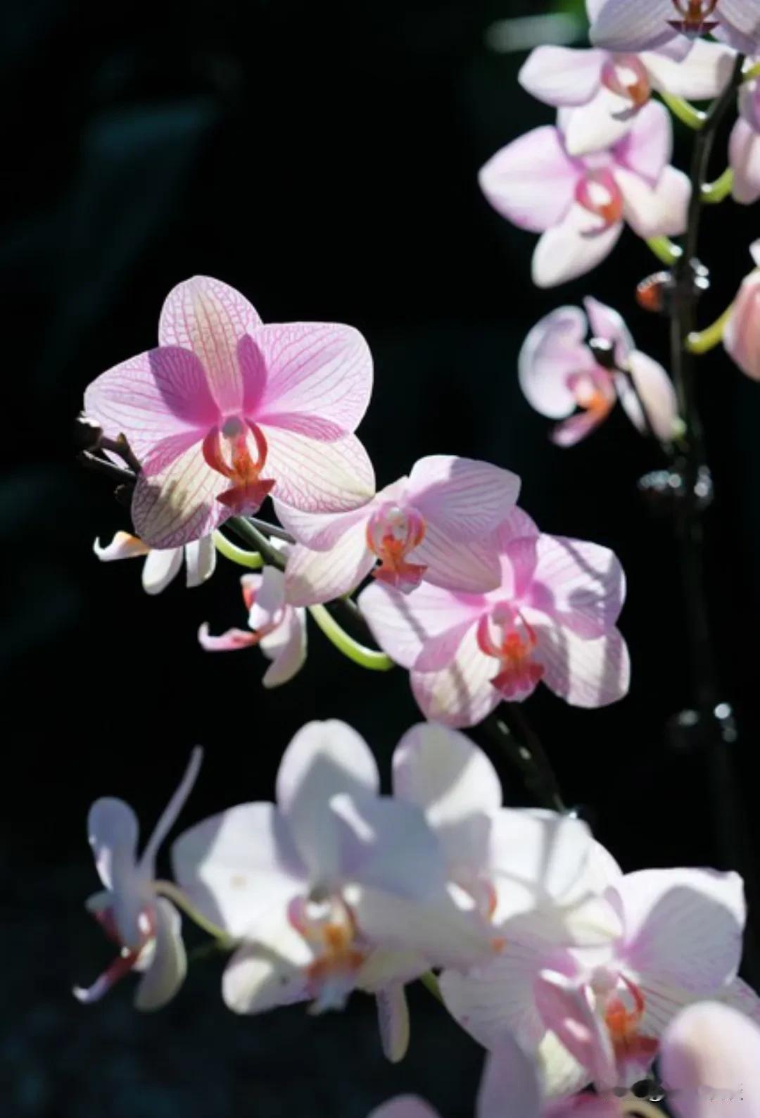 王志文有段话：“和周围人搞好关系的秘诀就是：不分享喜悦，炫耀成功，不说三道四，不