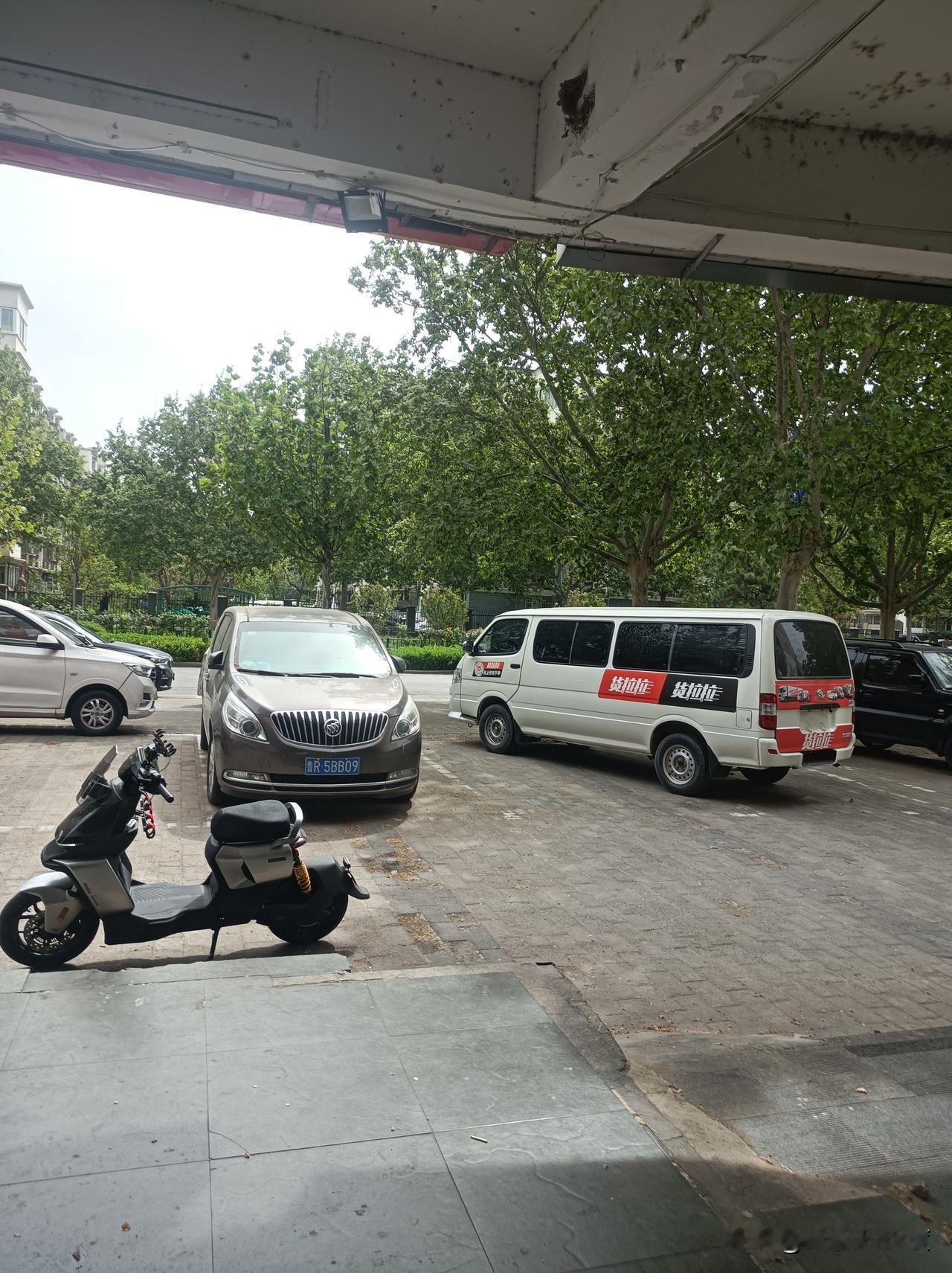 北京法国梧桐毛毛满天飞
多少年了，大家忍耐柳絮白杨毛毛，近几年市政园林一直大力整