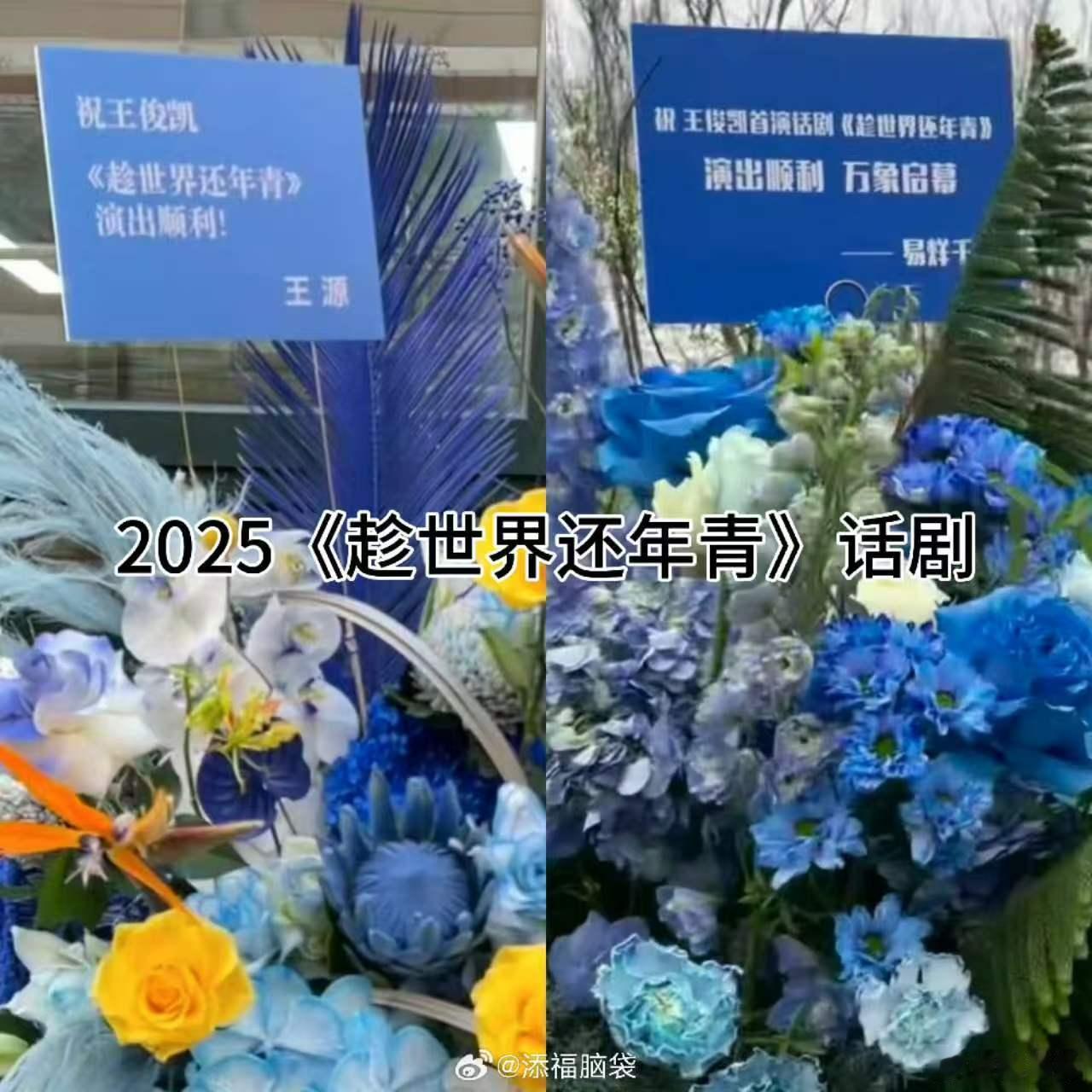 TFboys互送花篮王俊凯王源易烊千玺互送花篮 王俊凯王源易烊千玺一直都在给好兄