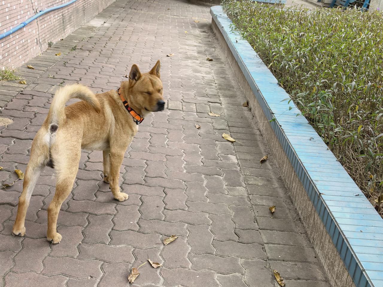 据台湾媒体报道，12月19日17时30分左右，台北捷运有一名头戴“专业级防毒面具