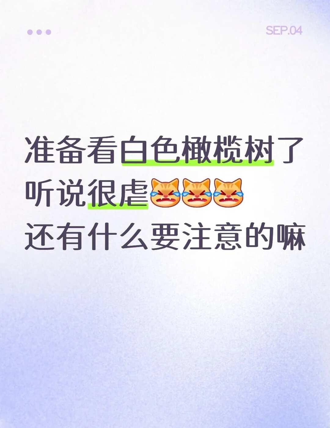 白色橄榄树真的很虐嘛我要开始细细品味这个
白色橄榄树真的很虐嘛
我要开始细细品味