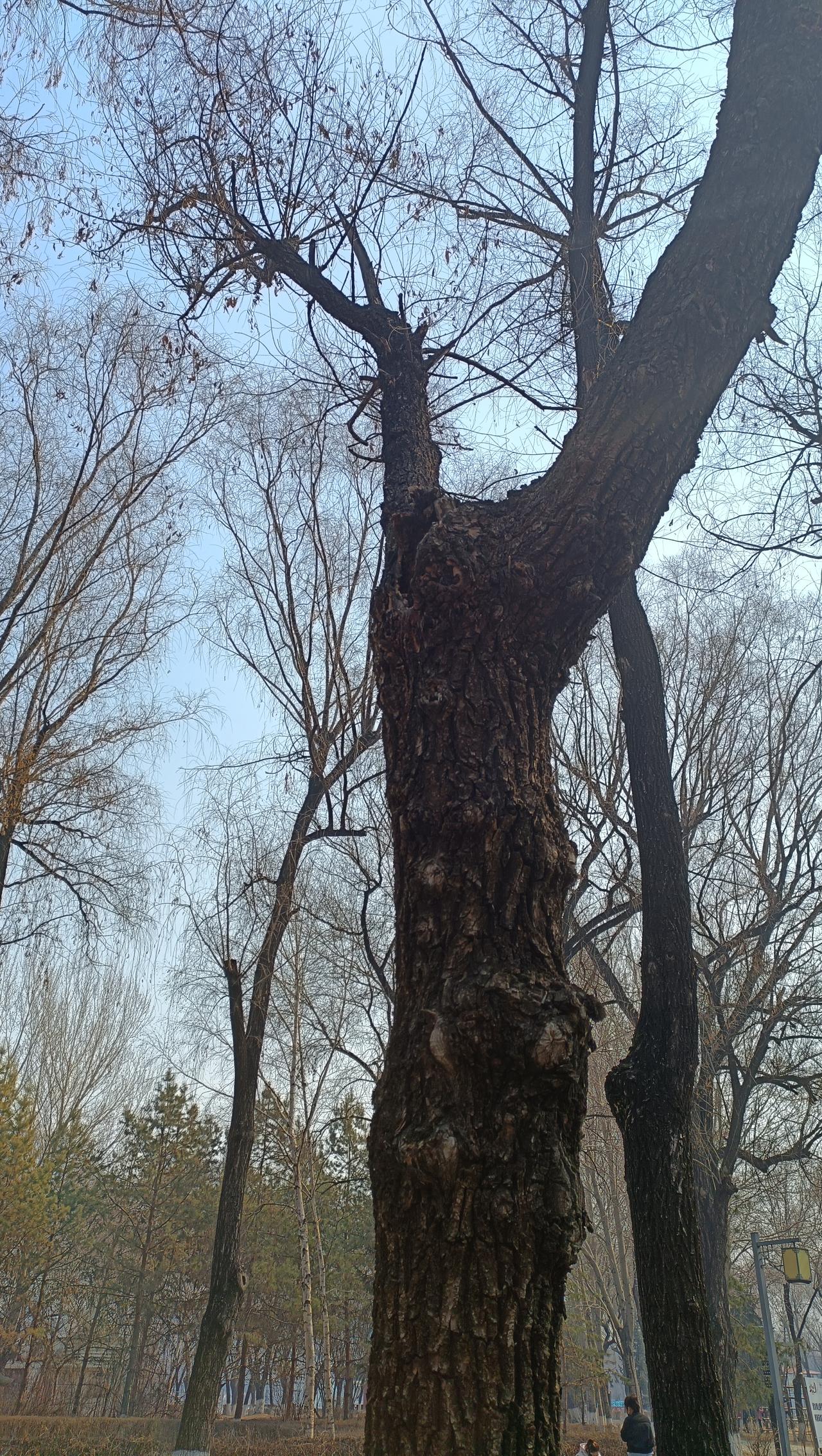 带孩子去户外，不妨这样了解大自然，提升观察力！
1.先观察周围环境
看看周围有什