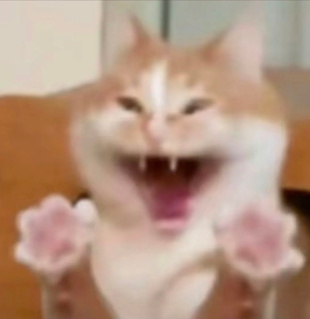 春节洗头日历现在开始到晚上，应该都要陆陆续续洗头了吧除夕集体洗头 