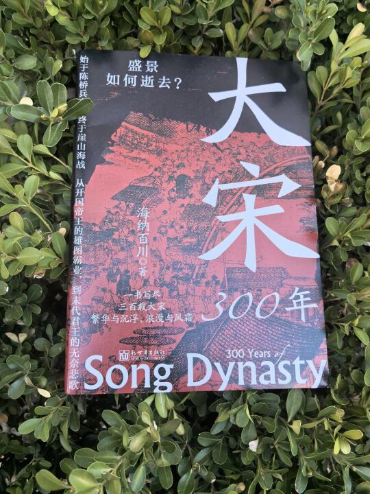《大宋300年》：宋朝的光辉与暗影