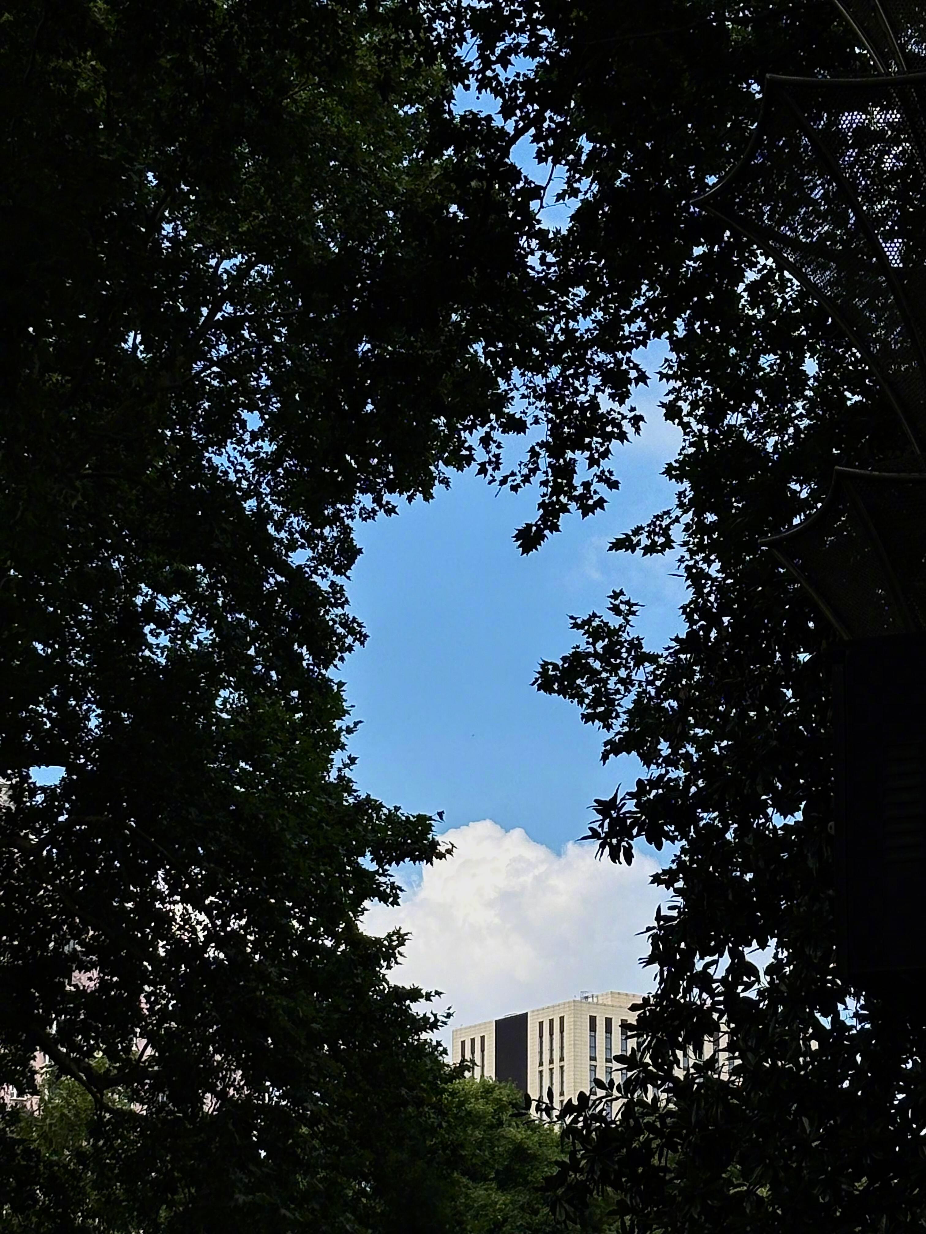 祝我们悠然自得 一整个夏天🍀 ‧₊˚💭 ⸝⸝ 