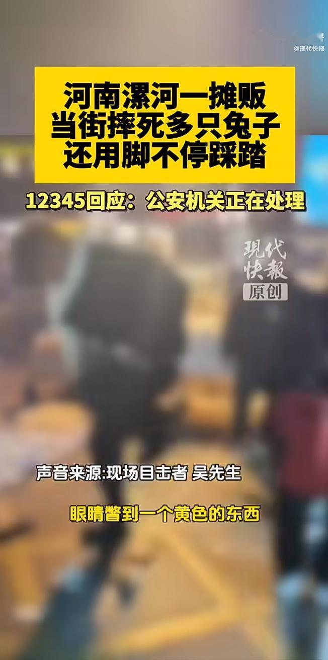 近日，河南某市场发生一幕令人揪心的场景：一名摊贩因兔子死亡，情绪失控下将多只兔子