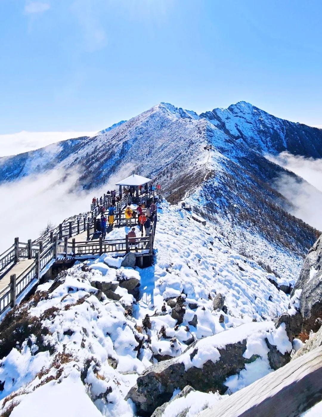 11.7📍太白山又下雪了！⛄️1日赏雪+免票
太白山又又又下雪了🌨！红桦林裹