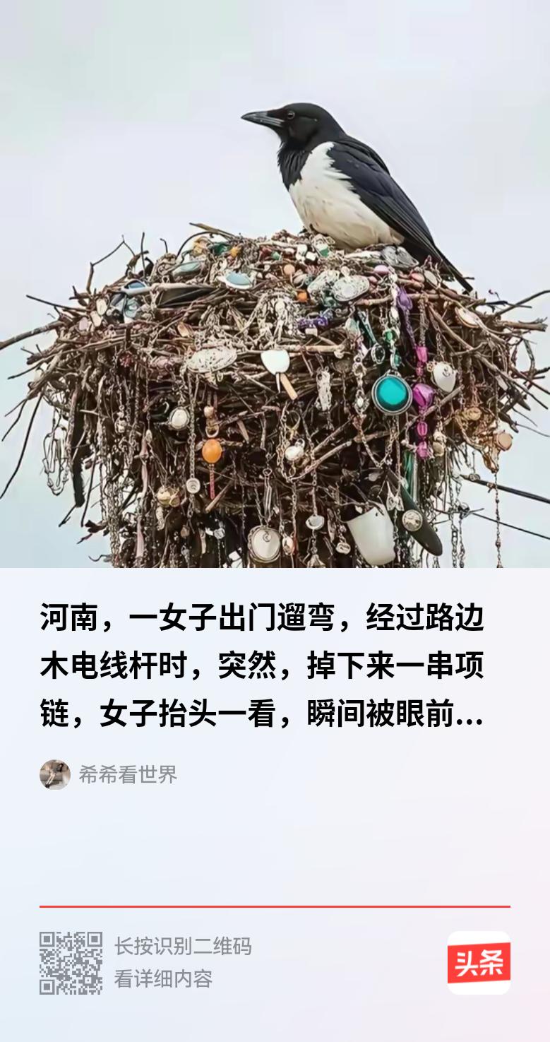 一女子在下班途中，正漫步于人行道上，突然，一件东西从天上坠落，恰好落在女子手上。