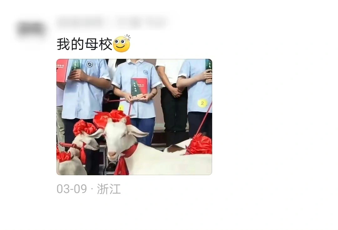 这种奖励确实经济实用拿回去改善伙食
