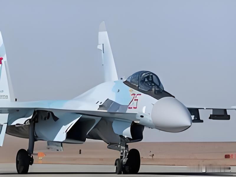 当一架涂着伊朗空军涂装的苏-35重型战机，稳稳降落在哈马丹空军基地的跑道上时，整