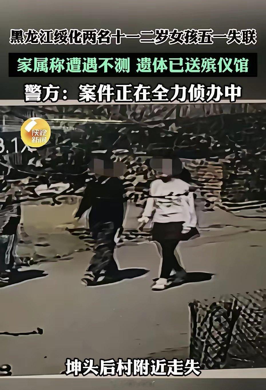 黑龙江望奎县，两个十一二岁的丁姓小姑娘只是结伴去村口超市买点东西熟悉的乡间小路，
