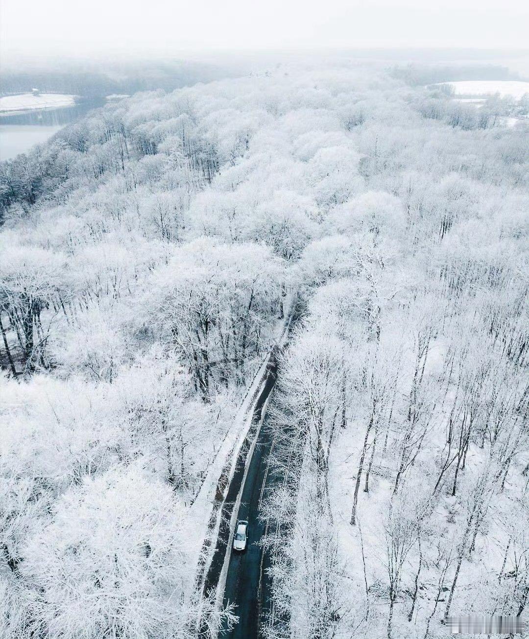 '  如果你热爱生活，就好好珍惜时间，因为生活是由时间组成的……早安 
