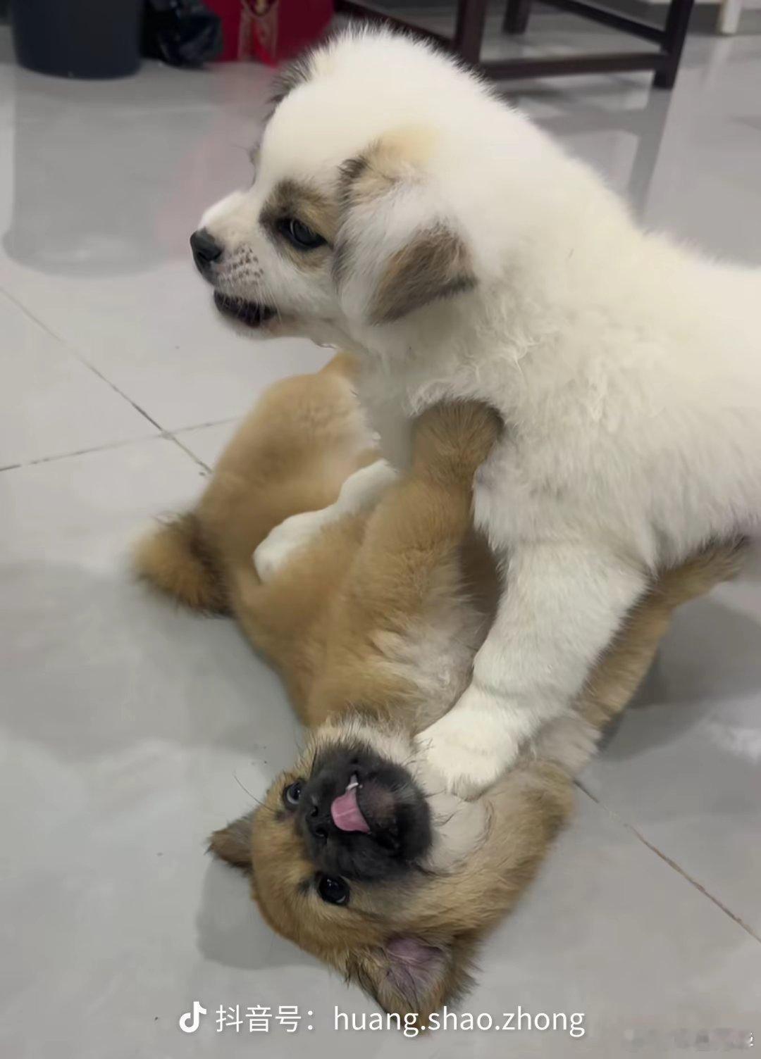 角色的“清冷感”，附带的是最整个世界的不屑一顾，过人的实力（武力和智力），不是一