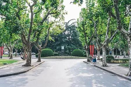 生活就像一场魔术表演，看似平淡无奇，实则充满了惊喜和奇迹。只要你用心去感受，就能