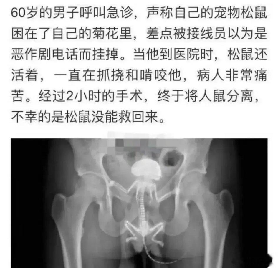 松鼠🐿️到底做错了什么？？？ ​​​