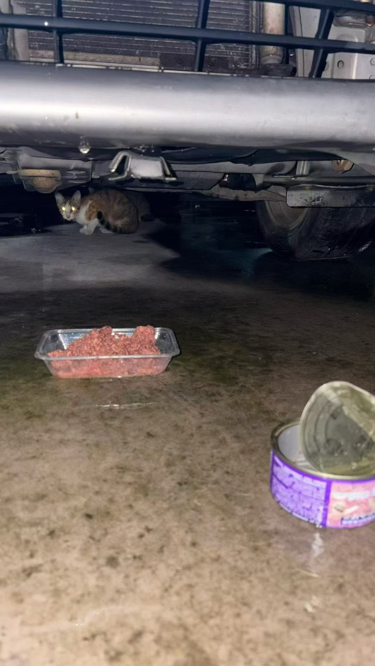 阿胖的女朋友还挺高的[嘻嘻]猫咪 ​​​