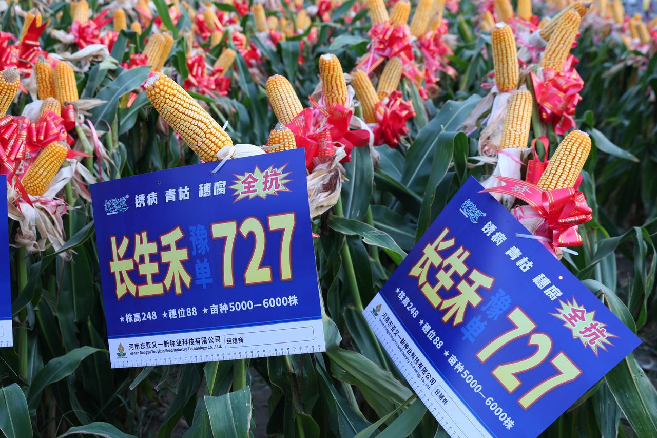 黄淮海经销商注意！长生禾豫单 727 观摩品鉴会 7.24-25 登陆濮阳清丰顿