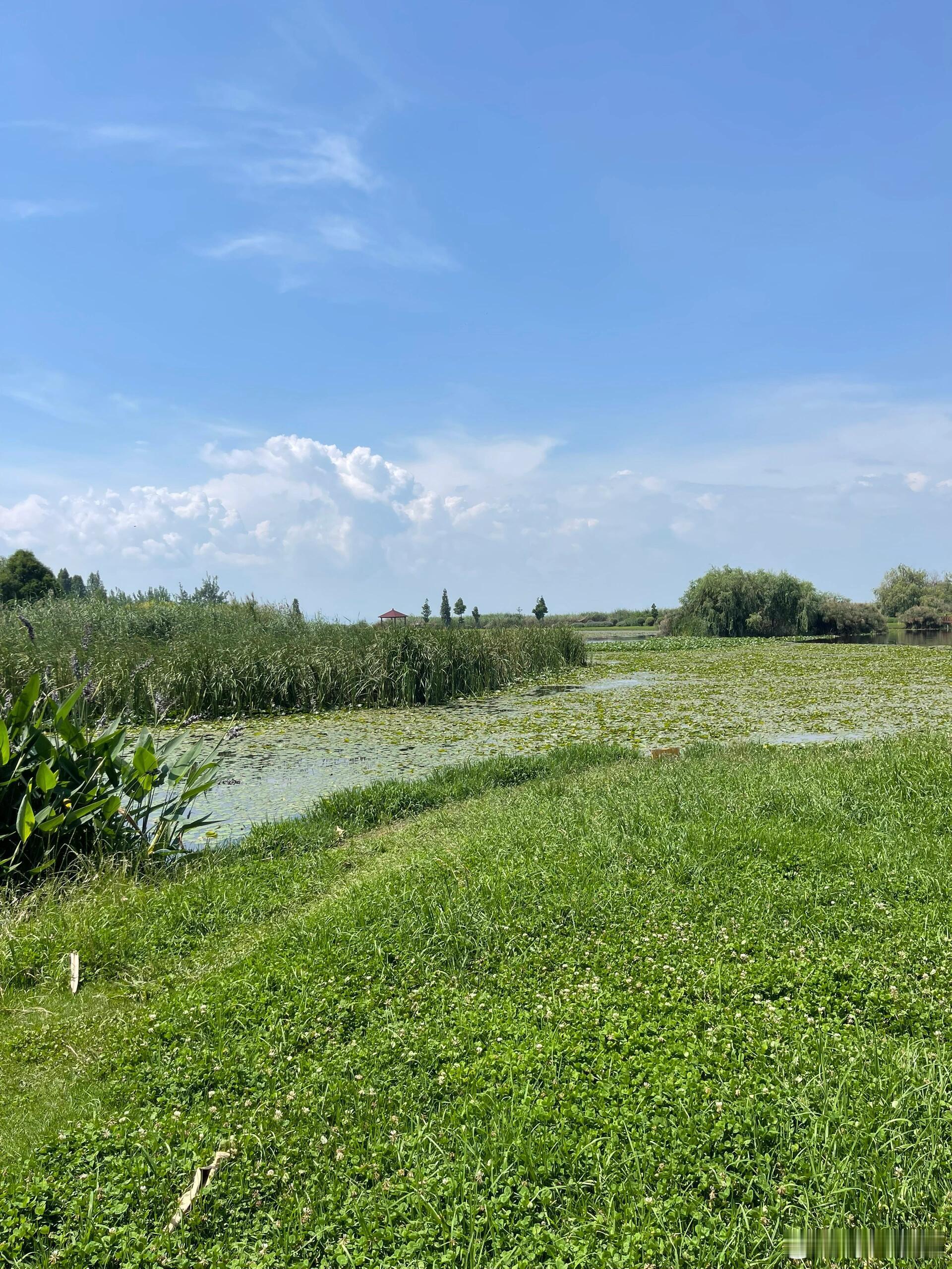 骑行、自行车昆明滇池绿道35公里骑行风景最美路线路线：宝丰湿地 → 水之桥 → 