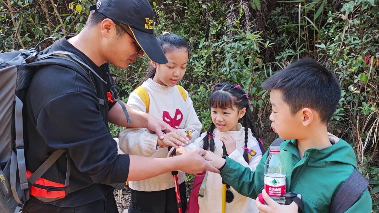 🦋在山野间和蝴蝶零距离接触是什么体验？看斑斓翅膀停在掌心，又振翅飞远，心都跟着