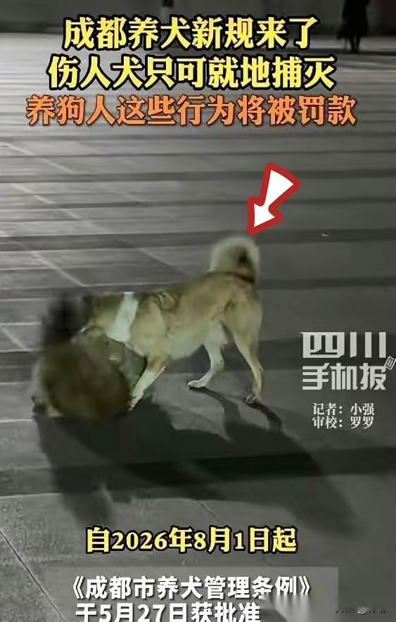 成都的养犬新规，
8月1号就要正式实施了。
要说里面最让人关注的，倒不是罚款多少