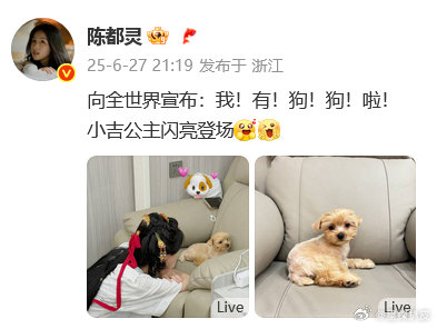 陈都灵有狗狗啦陈都灵的狗叫小吉陈都灵有狗狗啦，名字叫小吉！如果哪天嘟嘟的狗走丢了