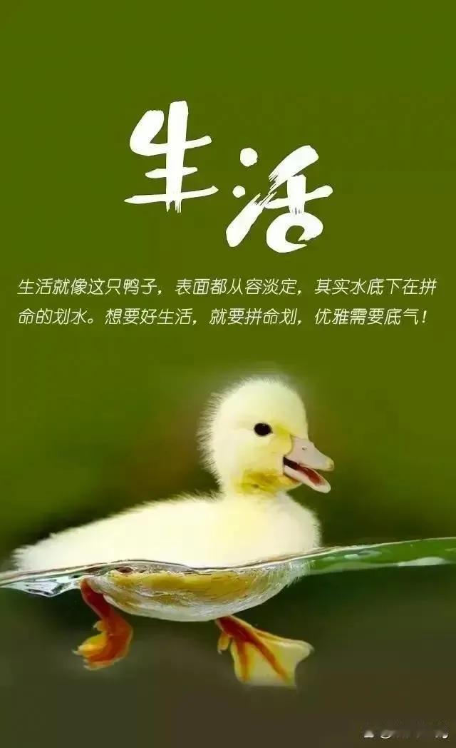 其实啊，磨炼也是需要技巧的。就像今天一样，我发现当自己的心里不舒服的时候，不如在