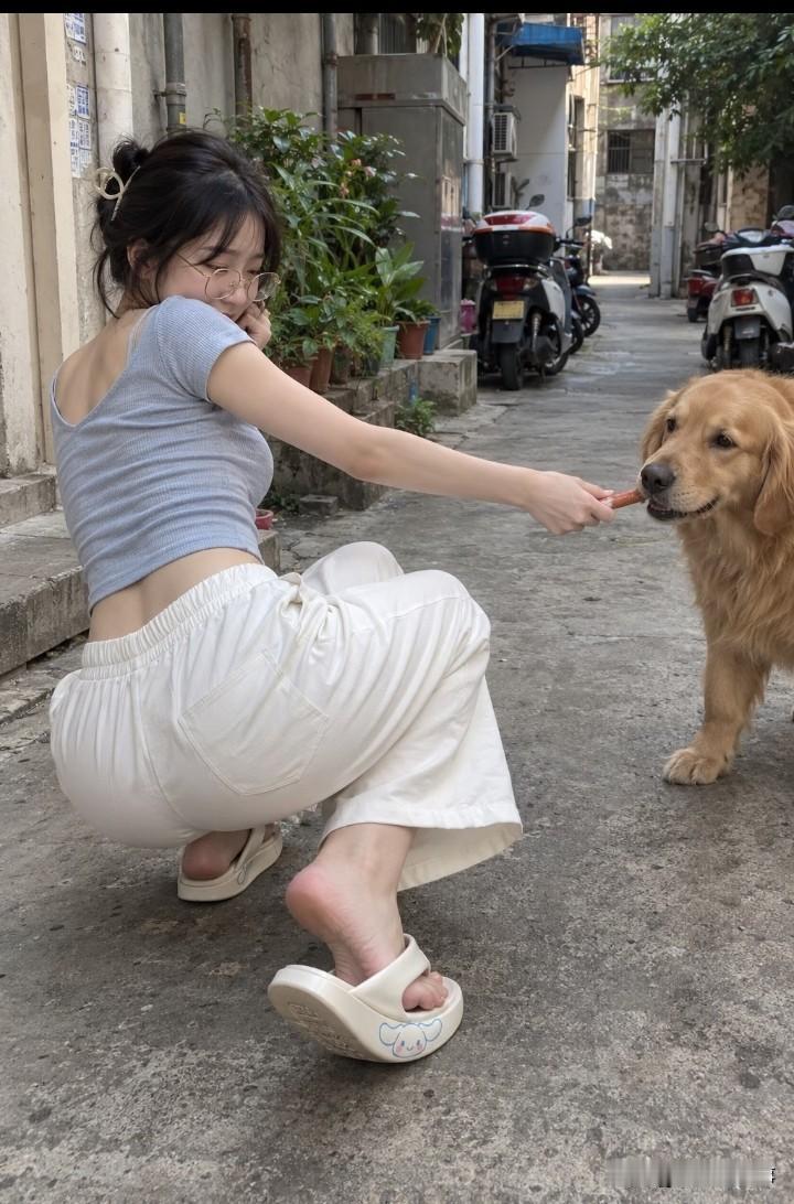 她说怕狗，却偷偷把手伸了过去