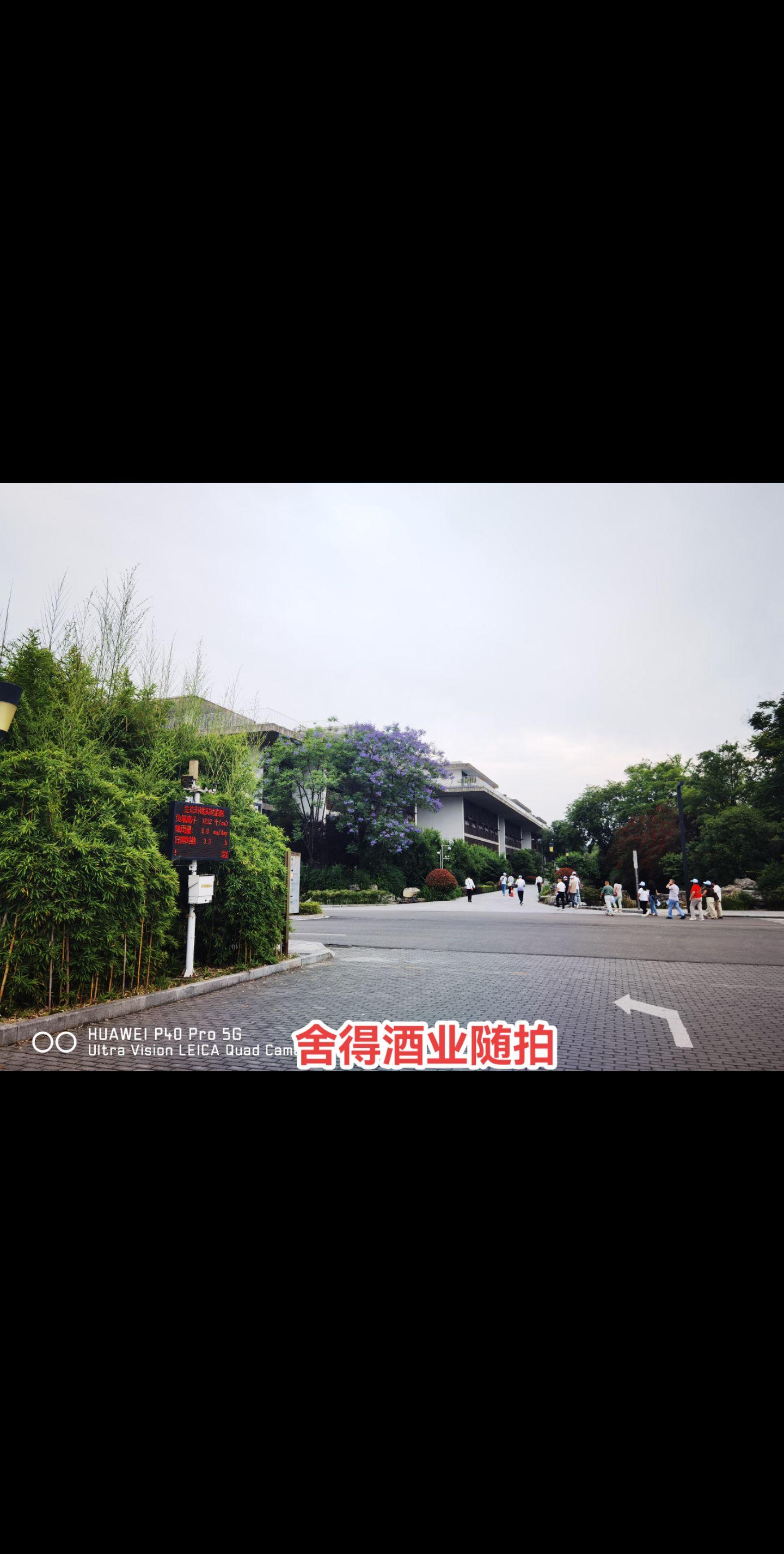 舍得酒业。位于四川射洪县的舍得酒业为川酒“六朵金花”之一，拥有“沱牌”...