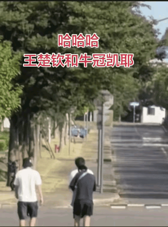 国乒封训趣事，王楚钦一个背影引热议，评论笑不活了