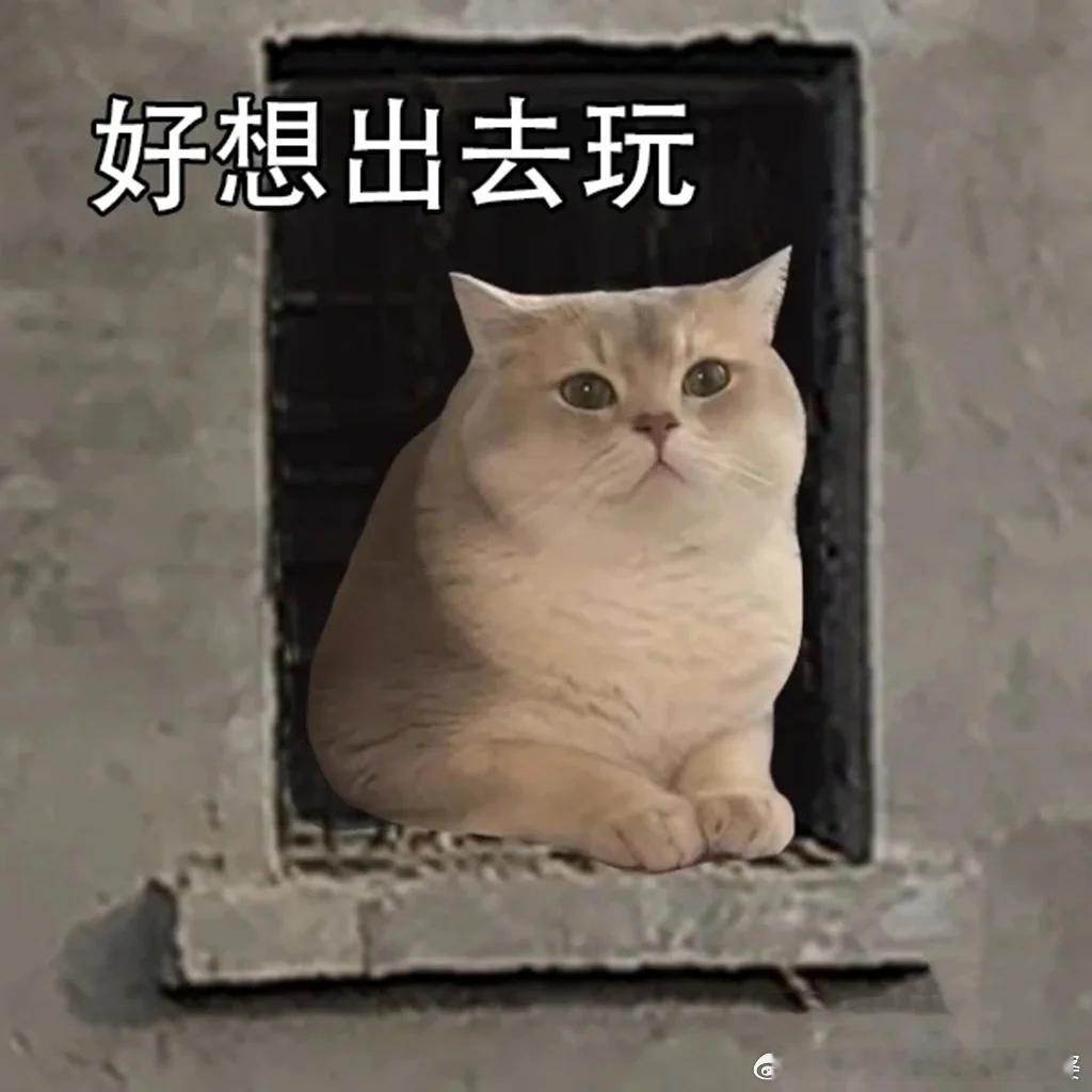 少调休多放假让国人从容过春节没看明白这波操作，国务院旅游工作部际联席会议研究出来