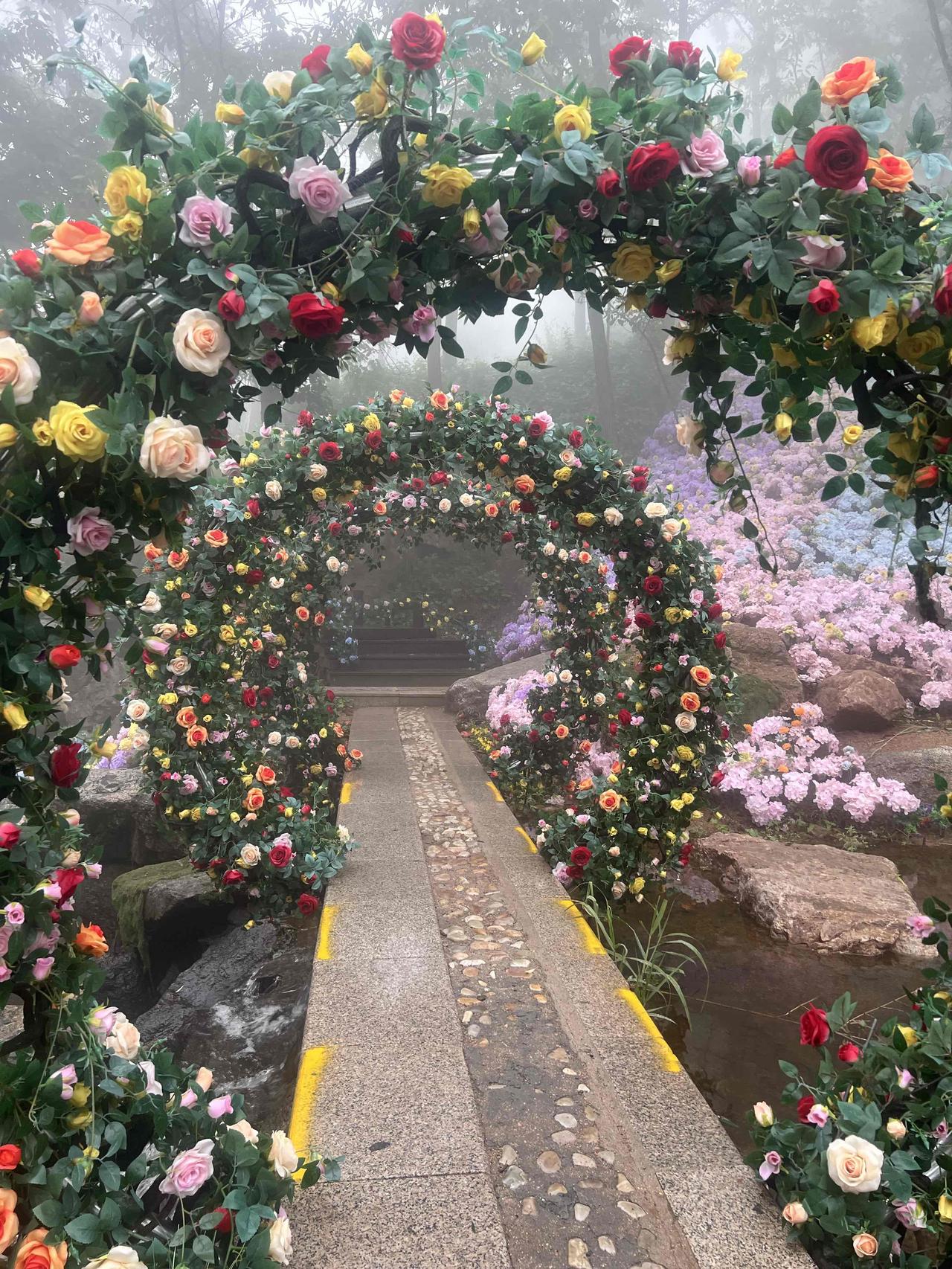 分享下你拍的花