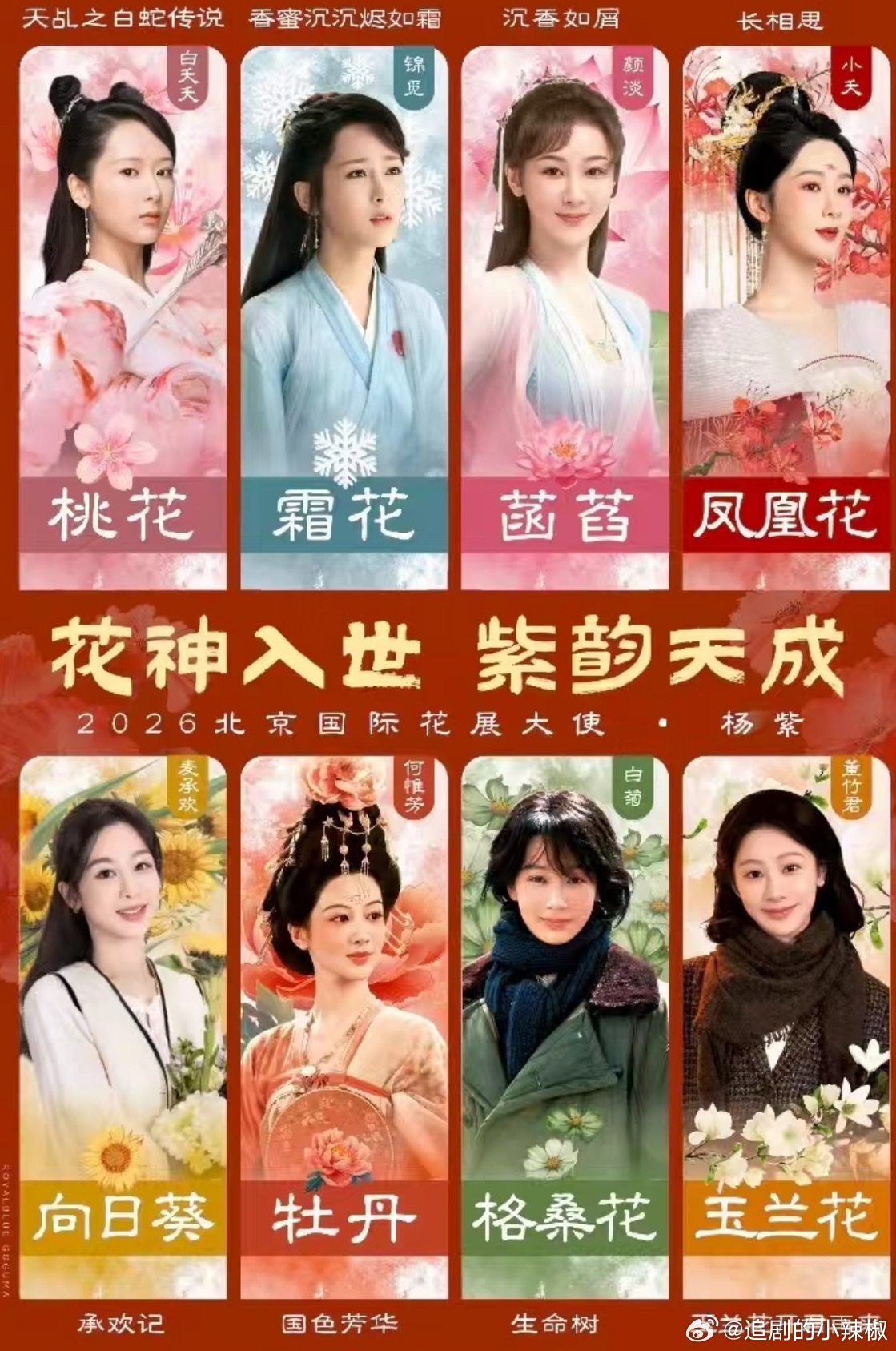 杨紫和🌸好像有莫名的缘分 