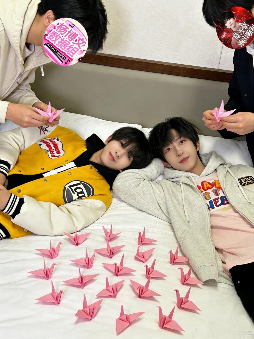 鸟姐应该去看惊蛰 