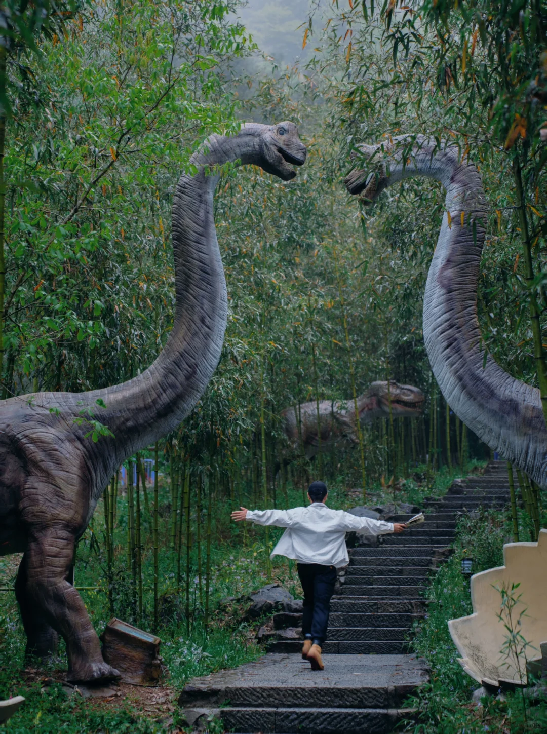 反向旅游太爽了‼浙江竟藏着这处冷门秘境🦕