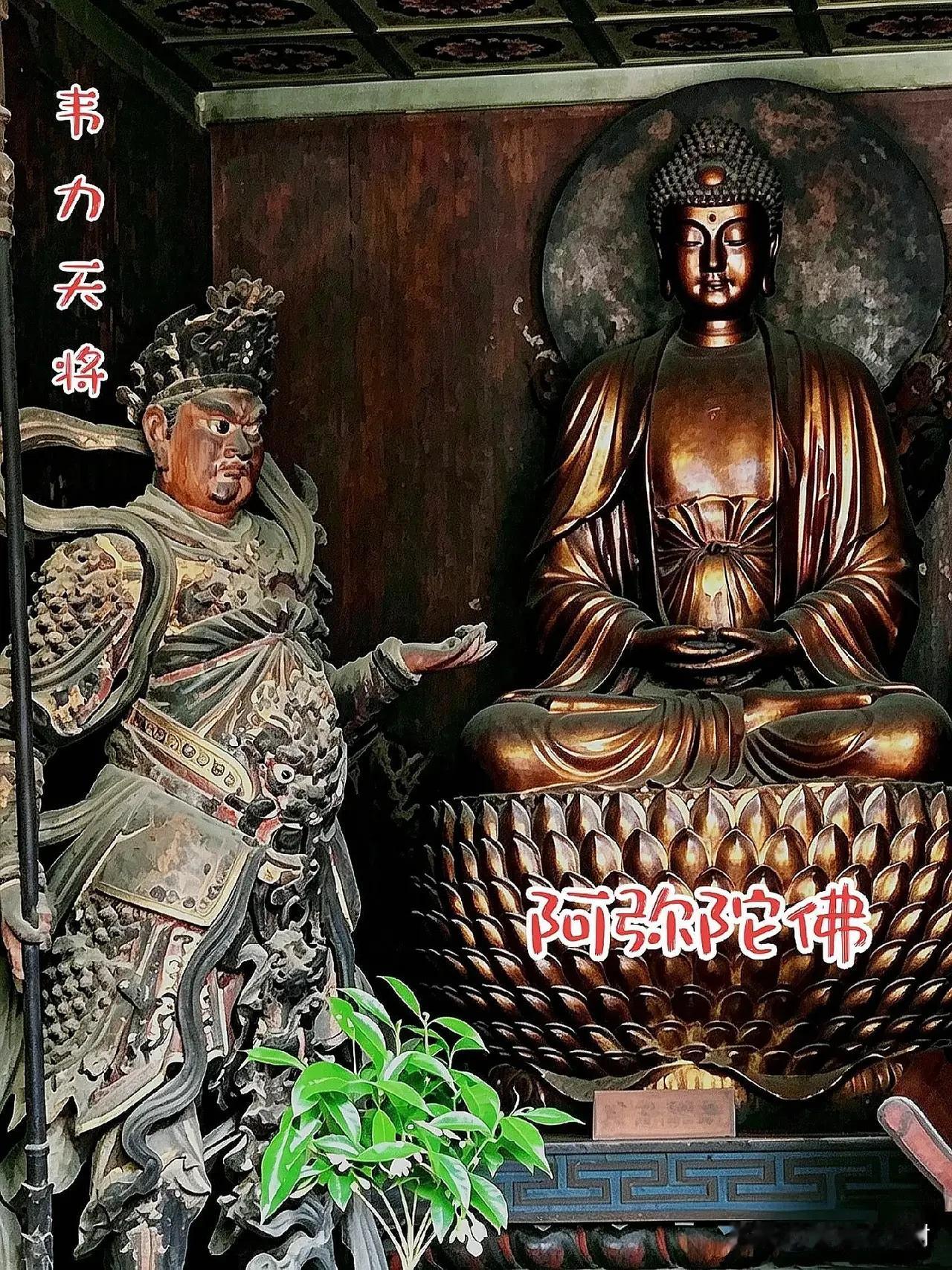 绝大多数游客不知情！白马寺大雄殿23尊国宝，经由周总理亲笔批示，自故宫千里南迁