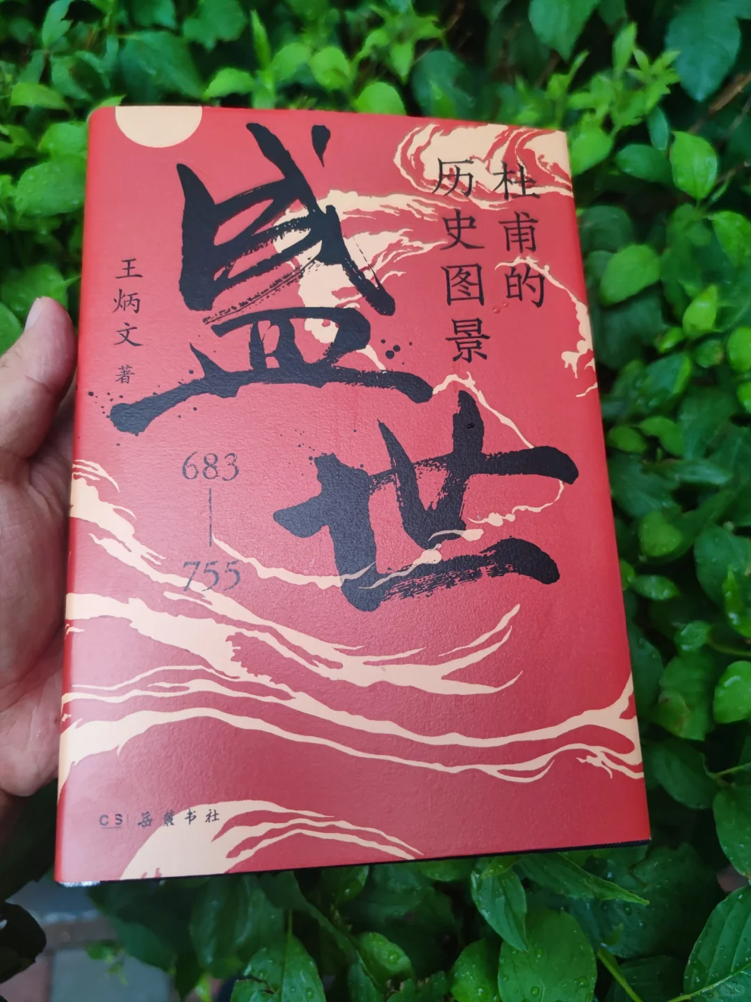 杜甫的历史图景：飞扬跋扈为谁雄？
