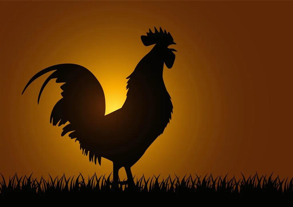 人间温柔
 
□周兴华

日出藏着诗意
晚霞晕开画意
年少走过酸甜与甘苦
岁月沉