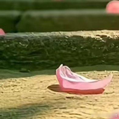 不必质疑因果的力量，它从不辜负真诚你播下的种子，正在看不见的角落悄悄生长。因果循