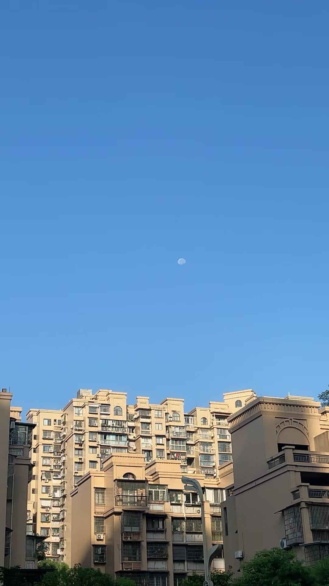 每天早起打卡九月加油 ​​​