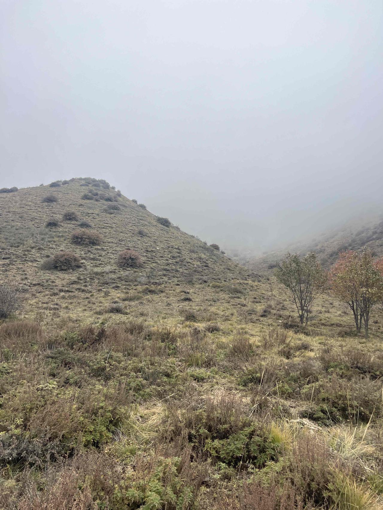 当然可以有，现在男女平等，女性可以有异性闺蜜，男人也自然可以有女性哥们！其实吧，