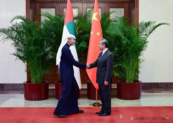 美国把阿联酋当自家军事基地用，哈利法港停着美军舰队、领土给美军当轰炸伊朗的跳板，