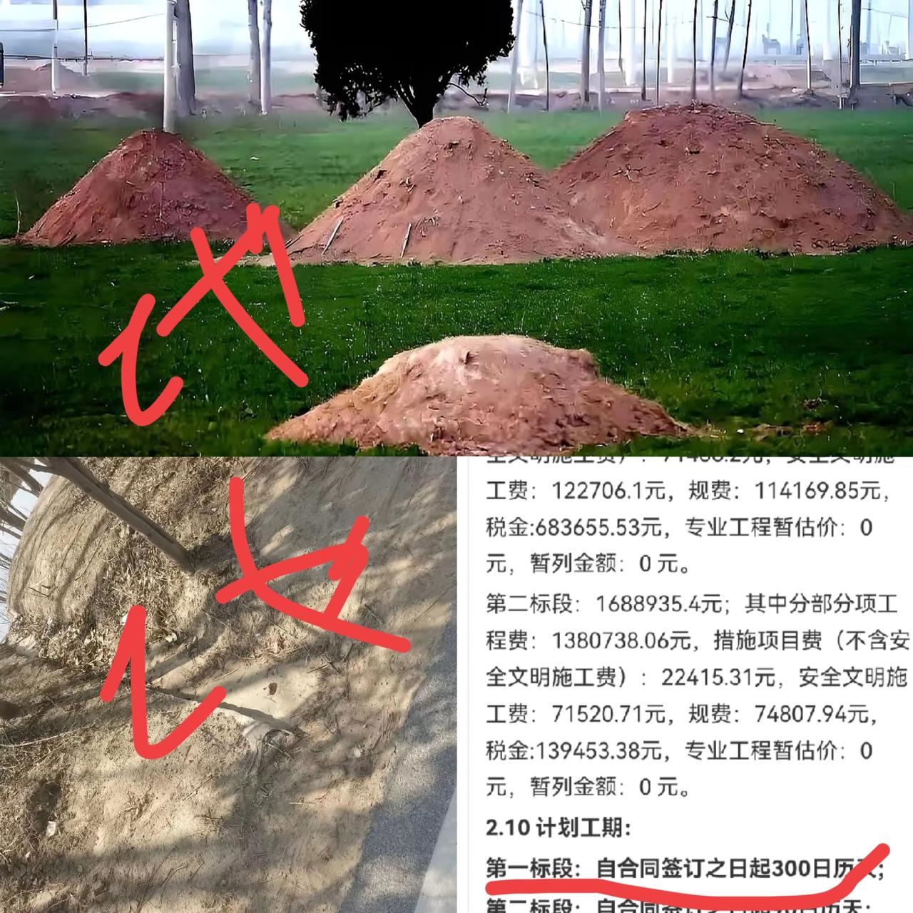 一句新闻炸出一堆情绪,
河南商丘某村,一位老人百年后只想与十年前离去的老伴合穴,