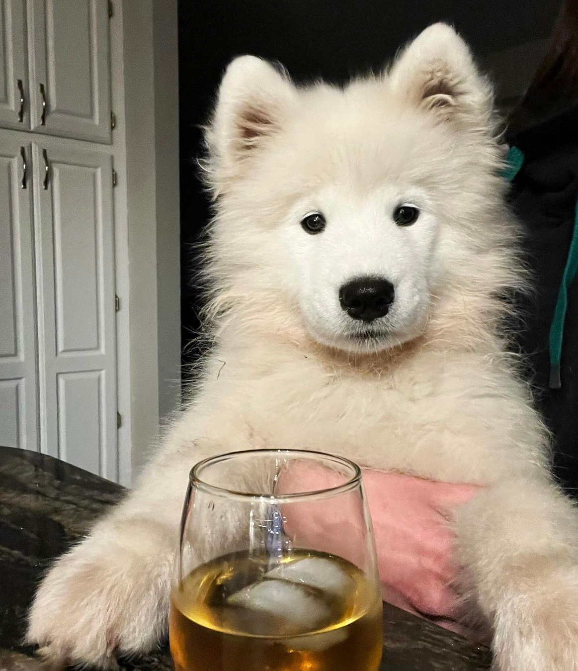 呐，我有酒，你有故事吗？ ​​​