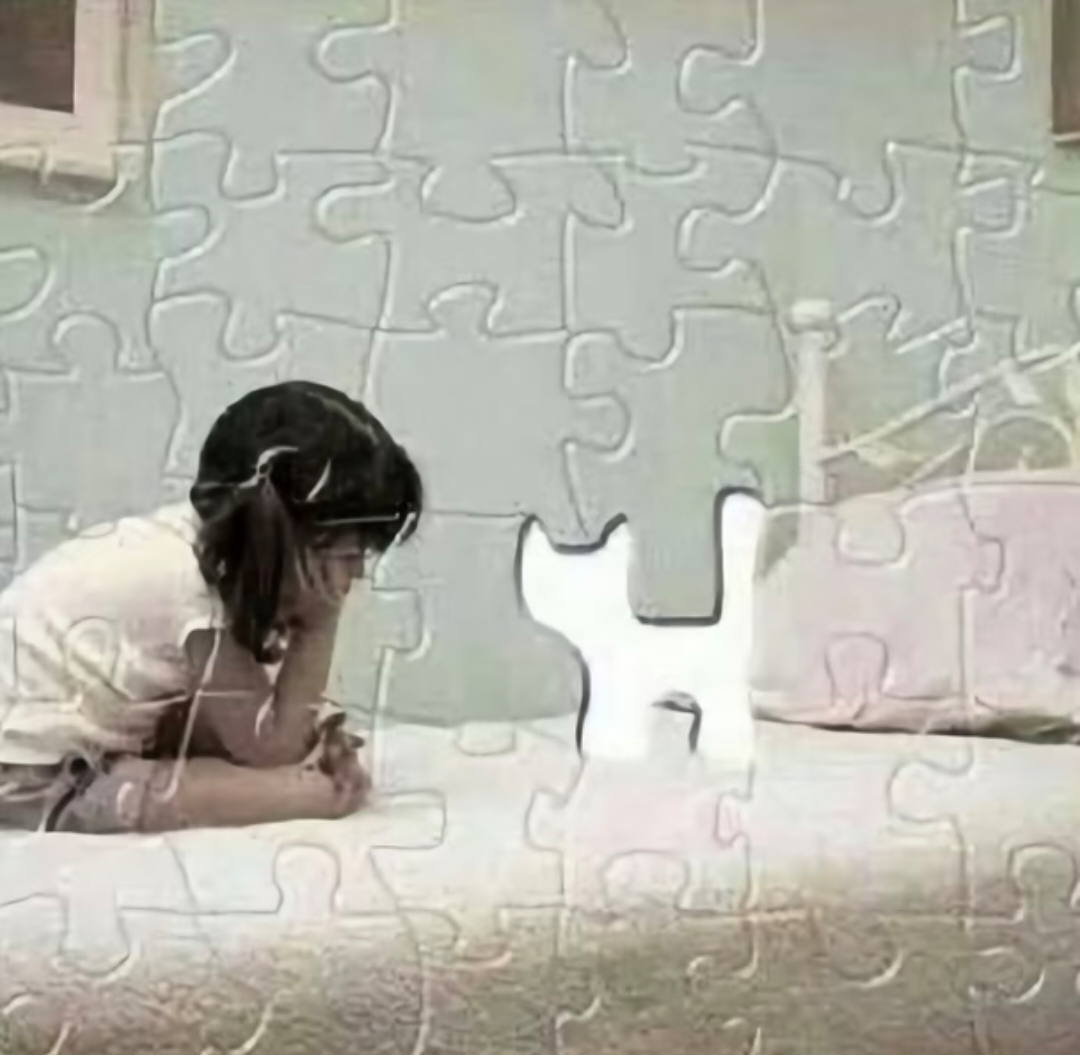 搞怪萌物｜头像分享૮₍˙О˙₎ა 