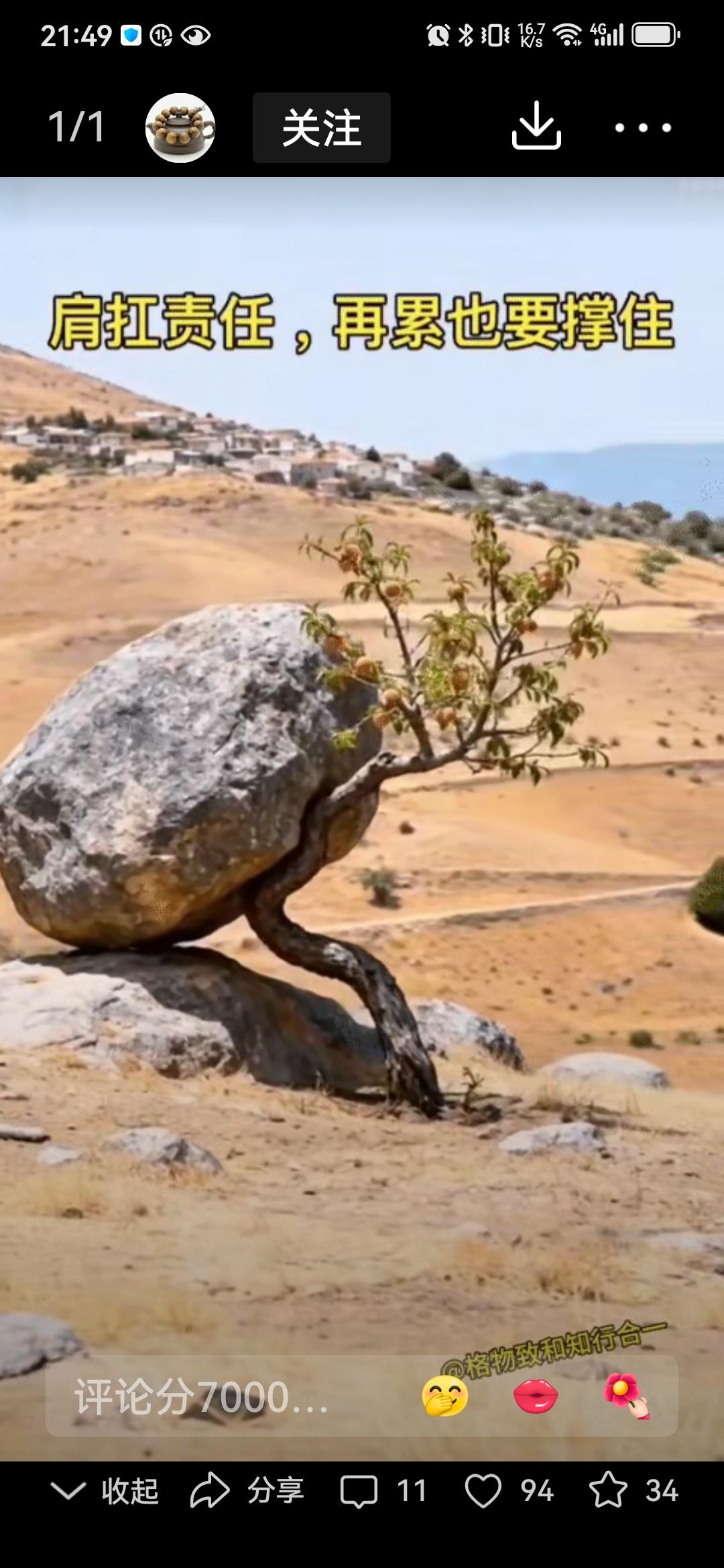 谁也别说不容易，只要坚强，能够忍受常人不能忍，都能成功！