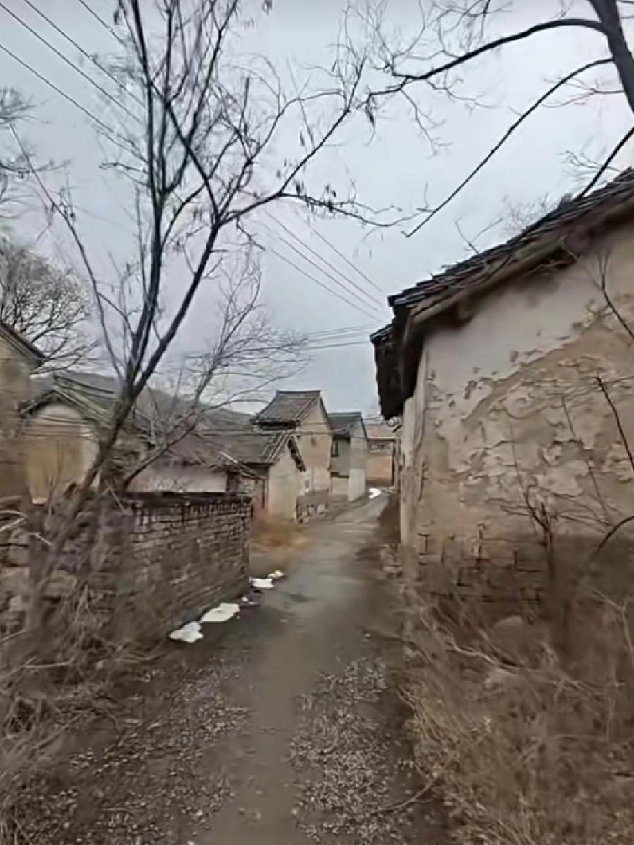 涑水荻花起苍茫，春来梨花淡淡香。
​晚归蚂蚱庙前过，青山悠远抱夕阳。
     