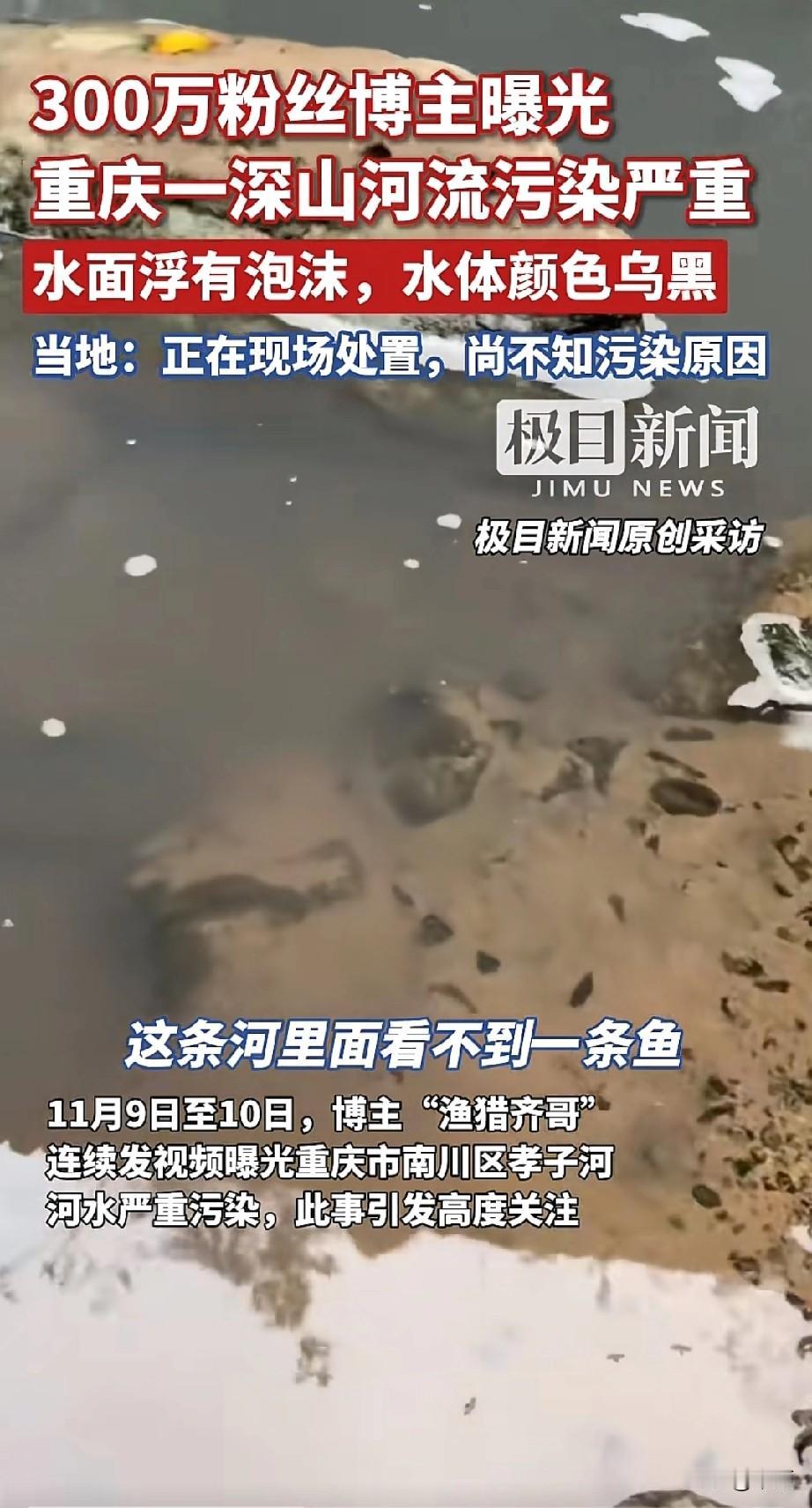 300万粉丝的环保博主“渔猎齐哥”，11月9日发视频曝光重庆南川区孝子河污染，画